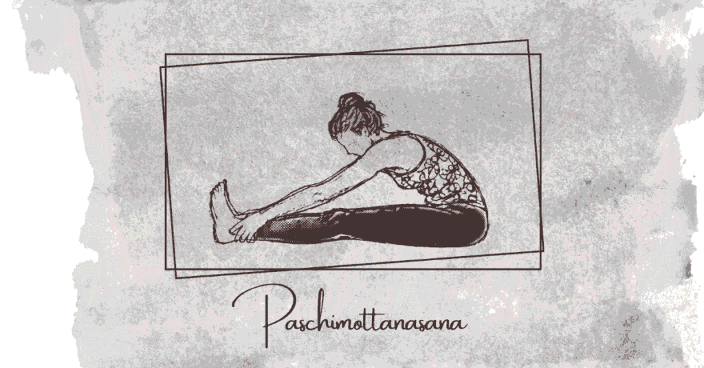 Paschimottanasana seated forward bend Yoga pose