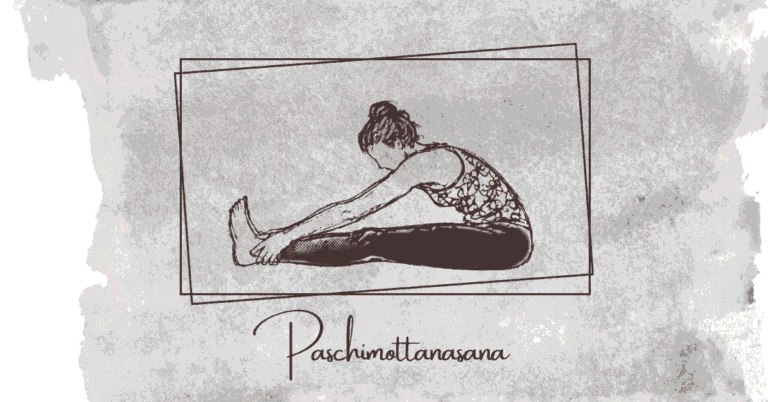 Paschimottanasana seated forward bend Yoga pose