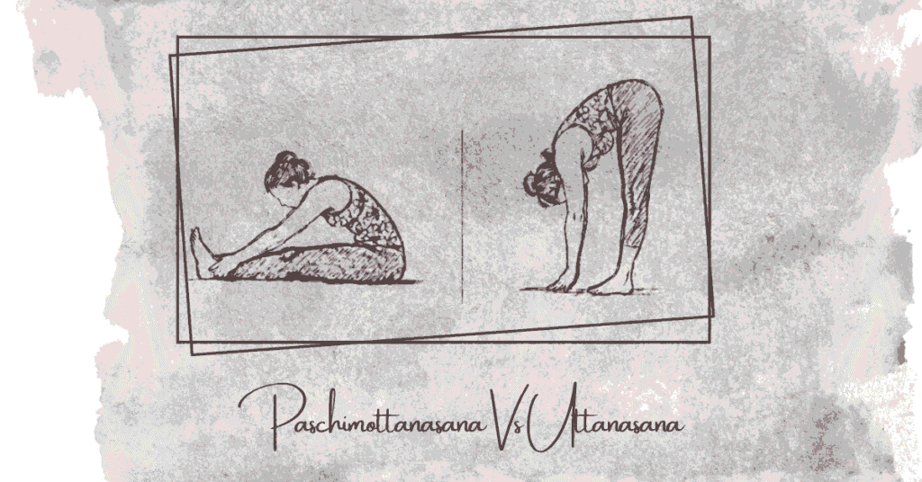 Paschimottanasana and Uttanasana forward fold comparison